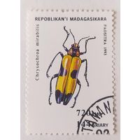Мадагаскар 1993, жук