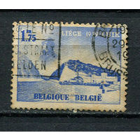 Бельгия - 1938 - Международная выставка 1,75Fr - [Mi.485] - 1 марка. Гашеная.  (Лот 5Ds)