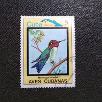 Марка Куба 1983 год Птицы