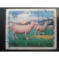 Монголия 1971 овцы
