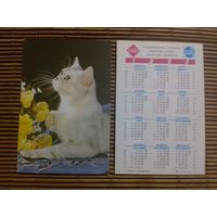 Карманный календарик.Котик.1996 год