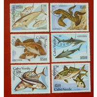 Кабо-Верде. Рыбы. ( 6 марок ) 1980 года. 6-1.