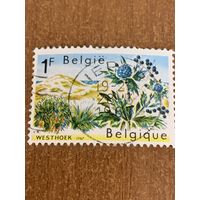 Бельгия 1967. Природа Бельгии. Флора. Марка из серии