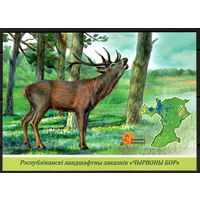 Почтовая карточка  республиканский ландшафтный заказник "Красный бор"