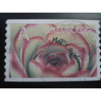 Люксембург 2002 цветок