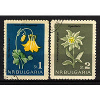 1963 Болгария. Цветы