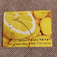 Израиль. Фрукты. Лимон