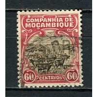 Португальские колонии - Мозамбик (Comp de Mocambique) - 1923 - Крупный рогатый скот 60С - [Mi.148] - 1 марка. Гашеная.  (Лот 63Fw)-T25P34