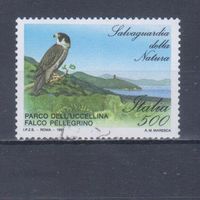[54] Италия 1991. Фауна.Птицы.Сокол. Гашеная марка.