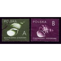 2 марки 1990 год Польша Ракушки 3273-3274