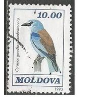 Молдова. Птицы. Сизоворонка. 1993г. Mi#60.