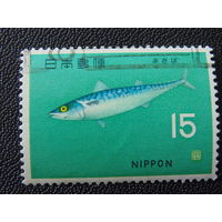 Япония. Морская фауна.