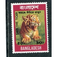 Бангладеш. Молодой тигр