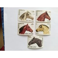 Румыния  1970 5м  лошади