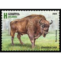 2024г Беларусь MNH  "Европейский зубр"