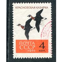 СССР 1962.. Фауна. Краснозобые казарки