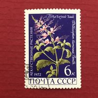 СССР 1972 год. Лекарственные растения