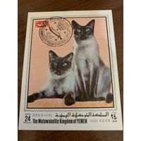 Йемен 1970. Сиамские кошки. Блок