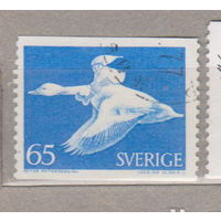 Птицы Фауна Швеция 1971 год  лот 1077 сказки
