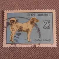 Турция 1973. Породы собак