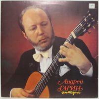 Андрей Гарин (гитара)