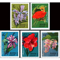 Тропические и субтропические растения СССР 1971 год (4080-4084) серия из 5 марок