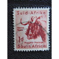 Южная Африка 1961 г. Фауна.
