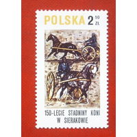 Польша. Кони. ( 1 марка ) 1980 года. 10-12.