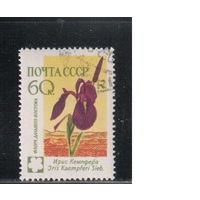 СССР-1960, (Заг.2414), гаш.(с клеем) , Флора, Цветы