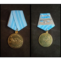 Медаль за спасиение утопающих    (копия)