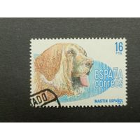 Испания 1983. Собаки