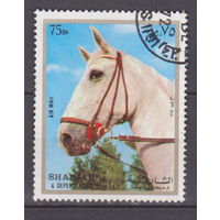 Лошади фауна ОАЭ Шарджа 1972 год Лот 53