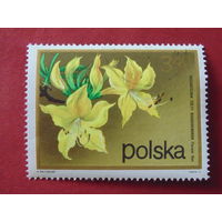 Польша 1972 г. Цветы.