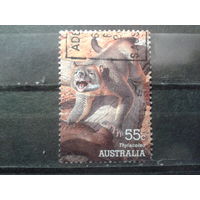 Австралия 2008 Ископаемое животное К 14 3/4:14