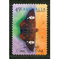 Бабочка. Австралия. 1998