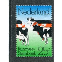 Нидерланды. 100 лет нидерландской породе коров