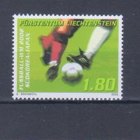[167] Лихтенштейн 2002. Спорт.Футбол. Одиночный выпуск MNH