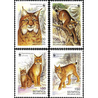Европейская рысь Беларусь 2000 год (384-387) серия из 4-х марок