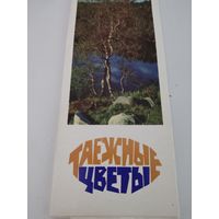 Набор из 15 открыток (9х21см) "Таежные цветы" 1974г.