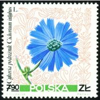 Полевые цветы Польша 1967 год 1 марка