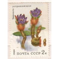 Растения. 1 марка, 1984г., чистая. СССР.