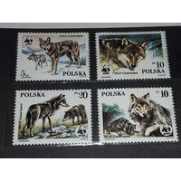 Польша 1985 Фауна. Волки. Полная серия 4 чистые марки