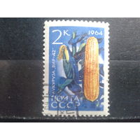 1964 Кукуруза