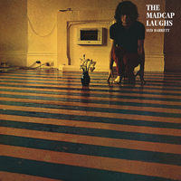 Syd Barrett – The Madcap Laughs 1970 Russia 8 СТР.БУКЛЕТ СD