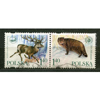 Фауна. Животные. Польша. 1999. Полная серия 2 марки