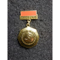 Значок Витебск Чемпион 1917-1967 (состояние)