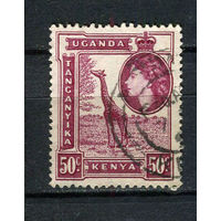 Британские колонии - Кения, Уганда, Таганьика - 1954/1959 - Елизавета II и жираф 50С - [Mi.98] - 1 марка. Гашеная.  (Лот 8DZ)-T5P3