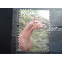 Польша, 2007, Лошадь