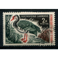 Кот д'Ивуар - 1966г. - птицы, 2 F - 1 марка - гашёная с клеем и наклейкой. Без МЦ!