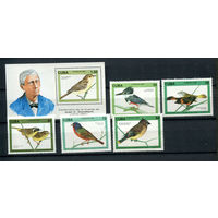 Куба - 1996 - Птицы - [Mi. 3910-3914 bl.144] - полная серия - 5 марок и 1 блок. MNH.  (LOT F52)